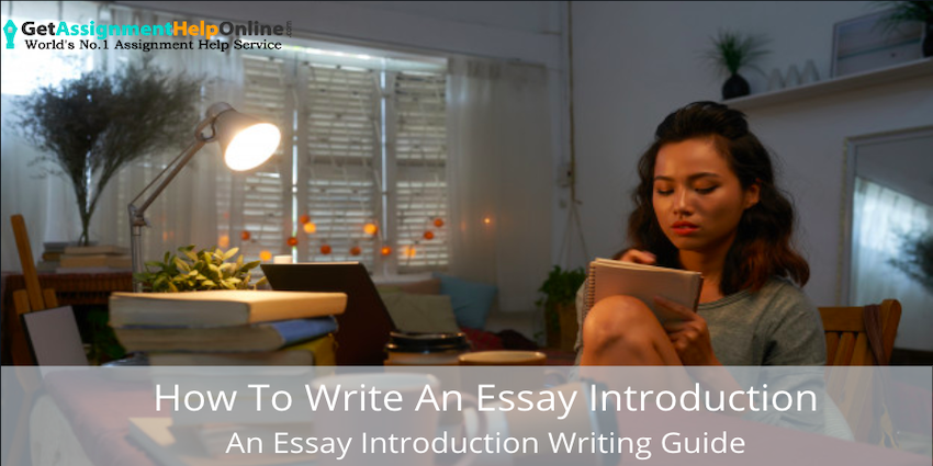 How To Write An Essay Introduction | Essay Introduction Writing Guide