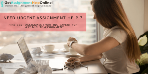 Urgent Assignment Help By Best Assignment Writing Experts